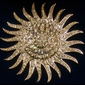 Gorgeous Star Burst Brooch! NWOT